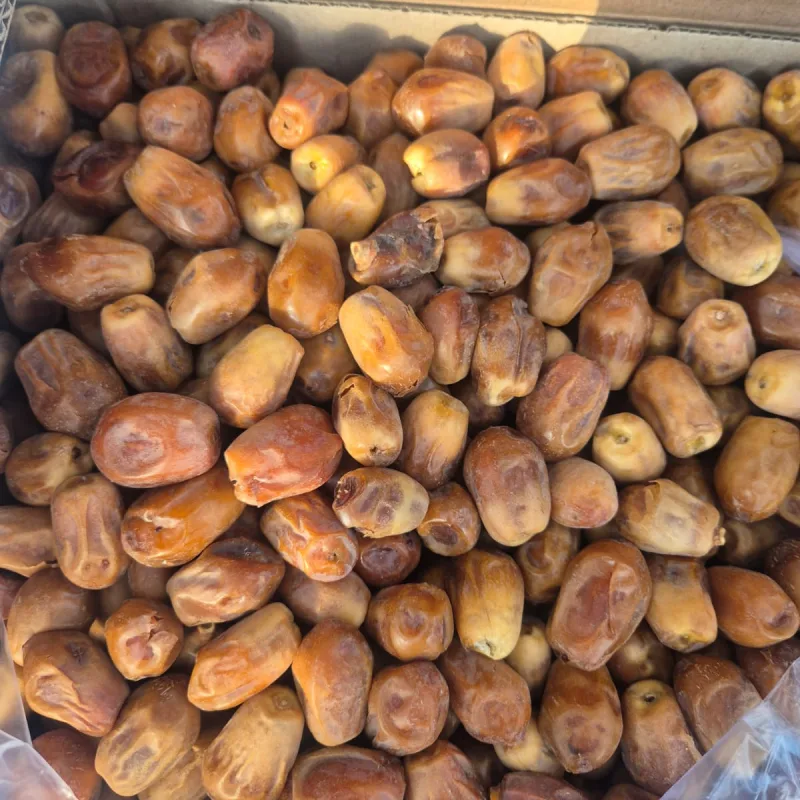 لقطة قريبة لتمر الزهدي