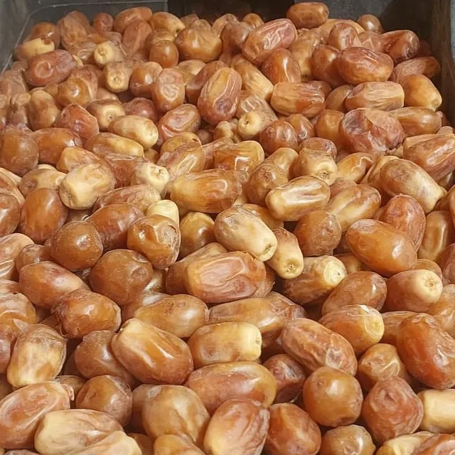 تمر زهدي في صندوق فرز