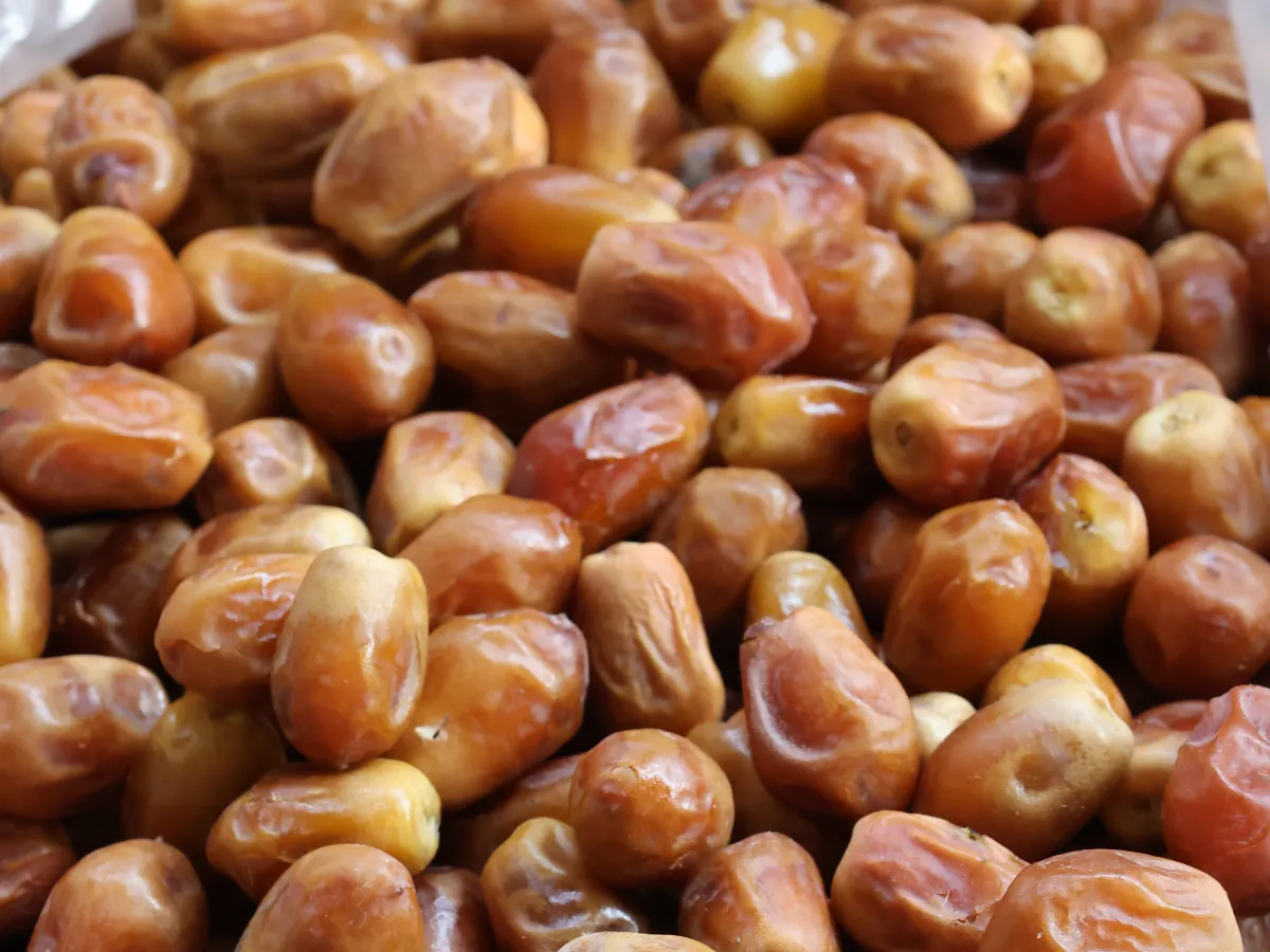 Iraqi Zahdi dates in an export carton lined with food-grade film