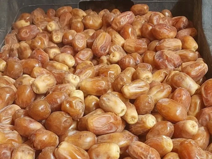صناديق بلاستيكية للتجميع والفرز